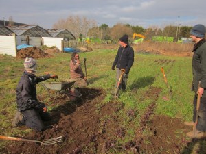 Volunteer day March 2016